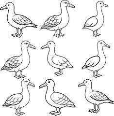 Line art silhouette bird set icon design 