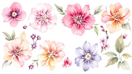 pink watercolor arrangements with flowers, set, bundle, bouquets with wildflowers, leaves, branches. Botanical illustration