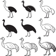 Line art silhouette bird set icon design 