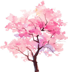 Fototapeta premium Cherry blossom tree watercolor painting isolated on transparent background.