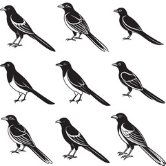 Line art silhouette bird set icon design 