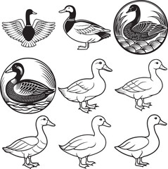 Line art silhouette bird set icon design 