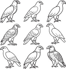 Line art silhouette bird set icon design 