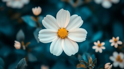 In a tranquil garden, a stunning close-up of a white flower reveals its delicate petals and bright yellow center, creating a beautiful contrast against a dreamy backdrop of leaves and smaller blooms
