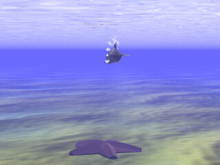 Mysterious dolphin swims up to a starfish