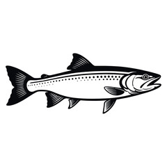 fish on white background