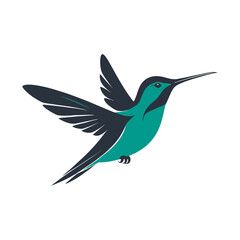 hummingbird on white background