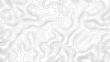 white topographic lines background contour lines wallpaper. Abstract modern white and black topographic contour map wavy line, digital print terrain lines texture white background.