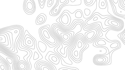 Fototapeta premium white topographic lines background contour lines wallpaper. Abstract modern white and black topographic contour map wavy line, digital print terrain lines texture white background.