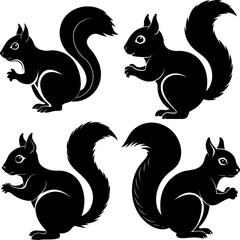 Squirrel Silhouette Vector Art Stylish & Professional Design.