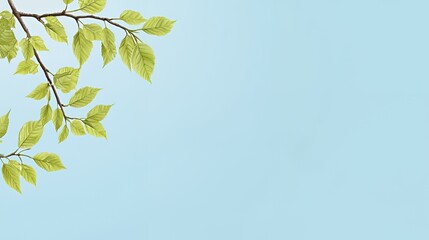 Obraz premium Green Leaves on Branch Against Light Blue Sky