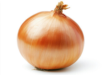 Fresh onion on a white background for culinary use