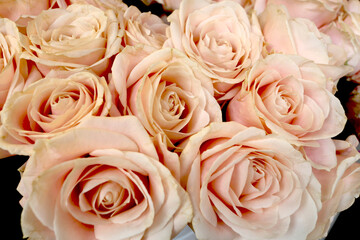 Bouquet de roses de couleur rose pâle et orangé