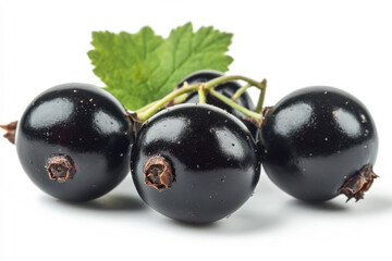 Fresh black currants with green leaves ready for culinary use