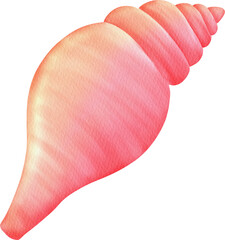 Fototapeta premium watercolor conch