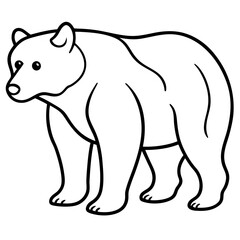 Bear line art vector