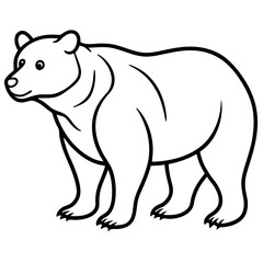 Bear line art vector
