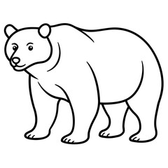 Bear line art vector
