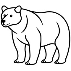 Bear line art vector