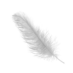 Single white ostrich feather isolated on black background elegant and delicate