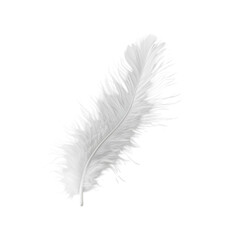 Single White Feather Isolated Black Background Soft Light Delicate Texture