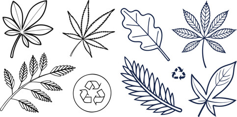 line icons  about leaves