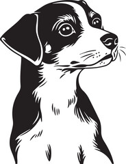 jack russell terrier dog vector illustration