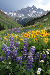 Obraz premium A mountain meadow filled with wildflowers, including vibrant purple lupines, golden sunflowers, and delicate daisies. The towering peaks in the background are covered with snow, and the air is fresh