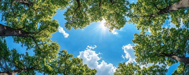 Obraz premium Looking Up at Green Tree Canopy with Blue Sky – Nature Background for Eco and Wellness Concepts perfect for nature, environmental awareness, wellness, and sustainability themes.