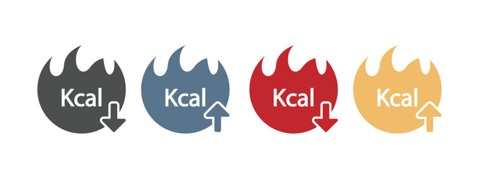 Energy fat burn kcal fire icon set isolated on white