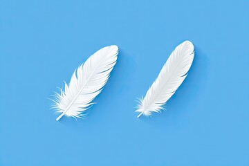 Two white feathers on a blue background