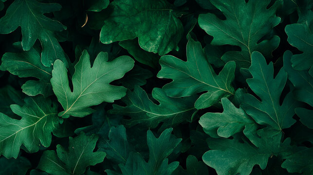Lush green oak leaf pattern for nature backgrounds and eco-friendly designs