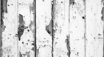 Weathered White Wooden Paneling