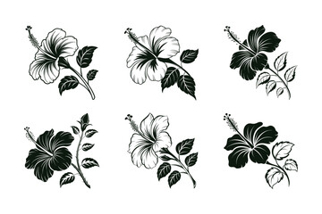 Obraz premium Hibiscus (Hibiscus rosa-sinensis) silhouette vector illustration