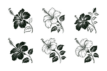Hibiscus (Hibiscus rosa-sinensis) silhouette vector illustration