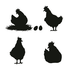 Chicken black silhouette. Isolated hen collection. Black drawing of farm birds. Natural food logo