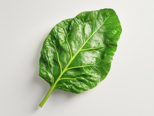 Obraz premium A bright green leaf with lush green foliage surrounded by natures vibrant colors