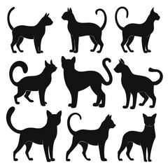 black silhouettes of cats