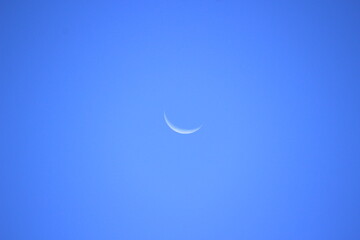 三日月　Crescent