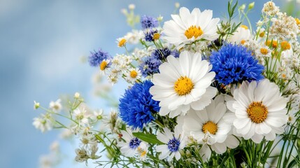Obraz premium Vibrant bouquet of white daisies and blue cornflowers blooming under a bright summer sky.