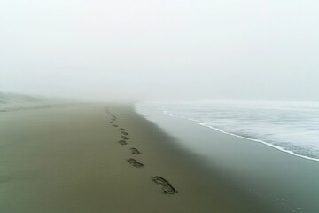 Footprints lead through misty beach, creating serene and tranqui