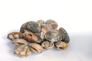 Clams on white background. Seafood.