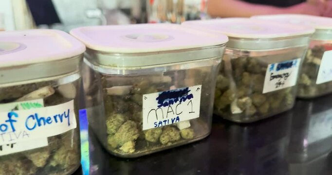 Selling marijuana, cannabis, hashish in a coffeeshop. A store counter with different types of marijuana. Smoking marijuana in the Netherlands. Coffee shops in Amsterdam.