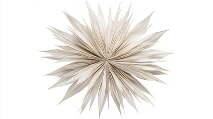 Abstract Beige and White Paper Starburst Design