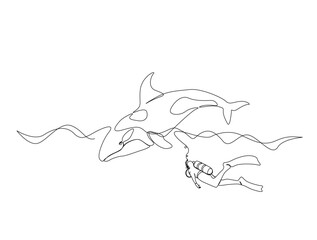 Continuous one line drawing of orca whale in the sea. Killer whale  in single line draw illustration. Editable stroke.