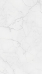Obraz premium Elegant White Marble Texture Background