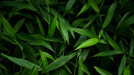 Eco-friendly skincare with bamboo particles for natural exfoliation