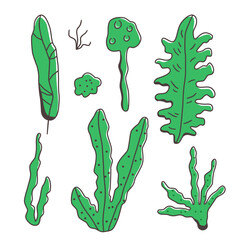 Hand-drawn collection of seaweed and ocean plants in cartoon style. Green marine elements with playful shapes. Vector illustration for underwater themes and decorative ocean designs.