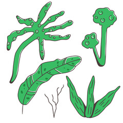 Hand-drawn vector set of cute sea plants and algae in green tones. Cartoon-style marine elements with playful shapes. Great for underwater-themed designs and ocean clipart collections.