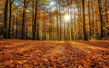 Obraz premium Gorgeous autumn forest with golden leaves covering the ground